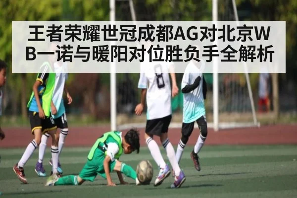 王者荣耀世冠成都AG对北京WB一诺与暖阳对位胜负手全解析
